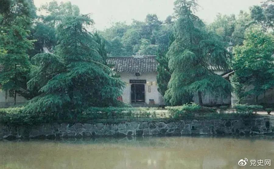 011619799479151887.jpeg 1111.jpg