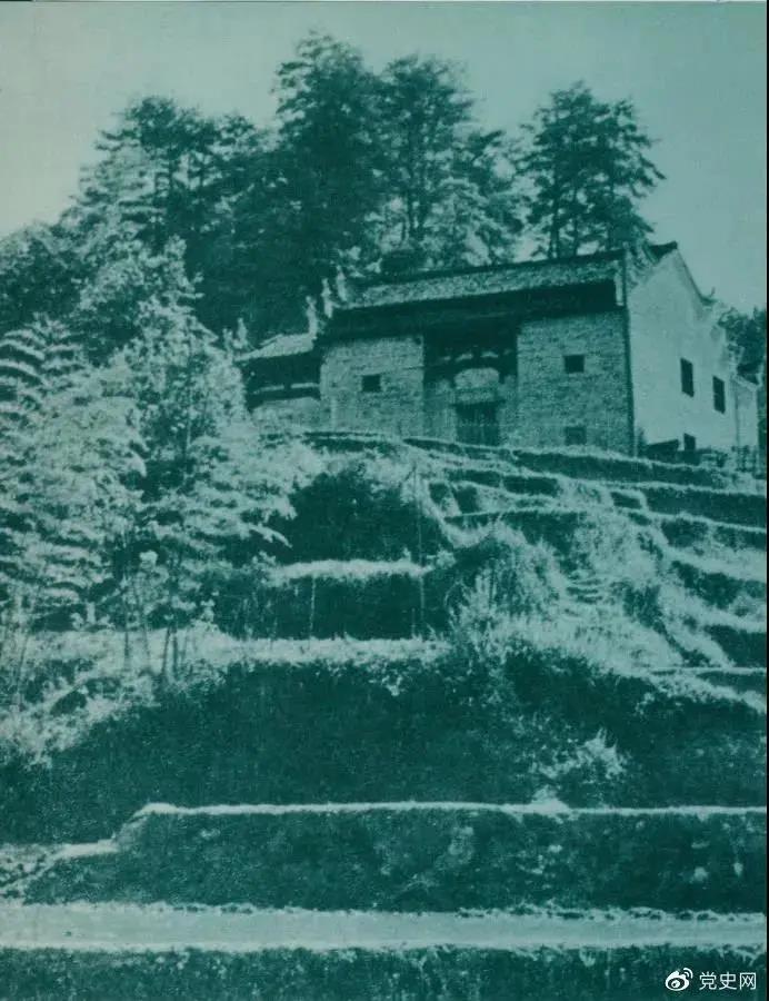 091620569566374583.jpeg 1.jpg