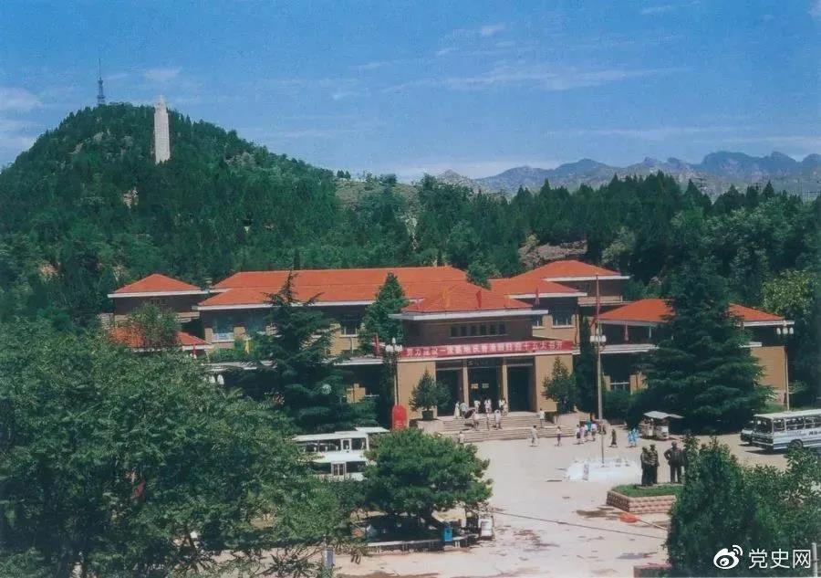 311622420570205188.jpeg 5.jpg