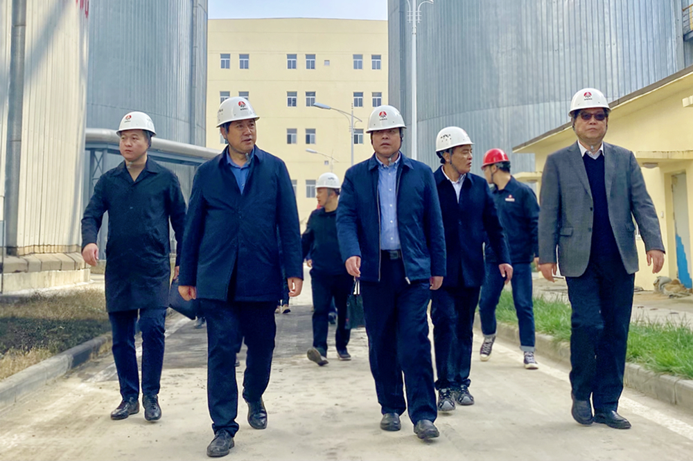 051636083217147215.jpeg 3_副本.jpg