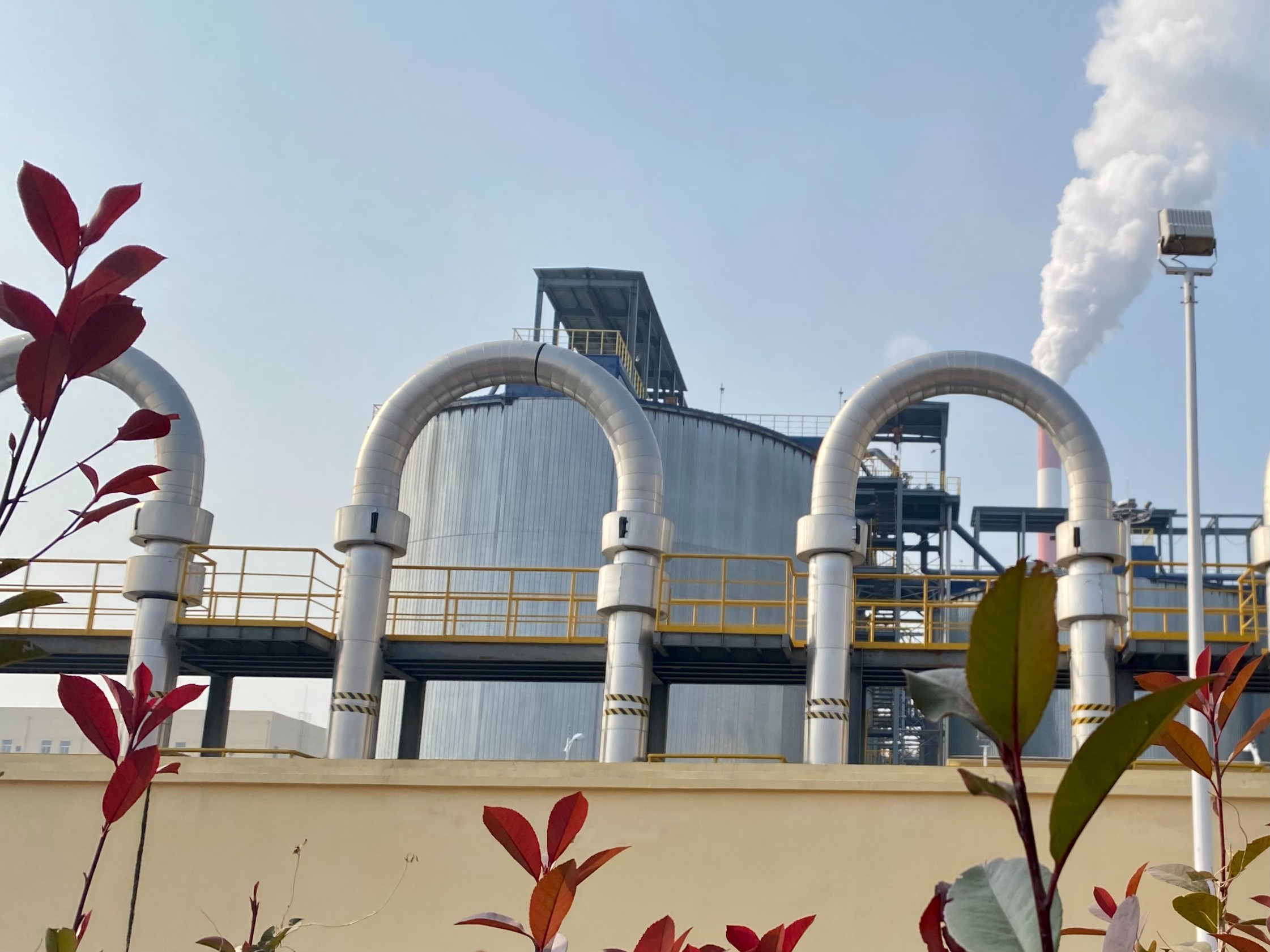 131639409587200303.jpeg 輸漿1.jpg