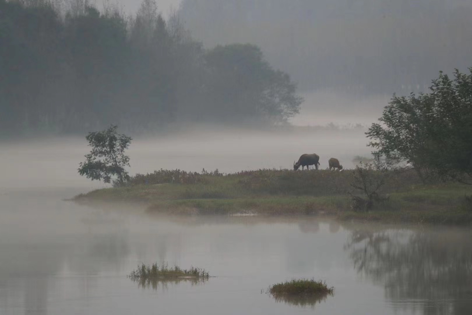 281646056971852160.jpeg 傍晚的水鄉(xiāng).jpg