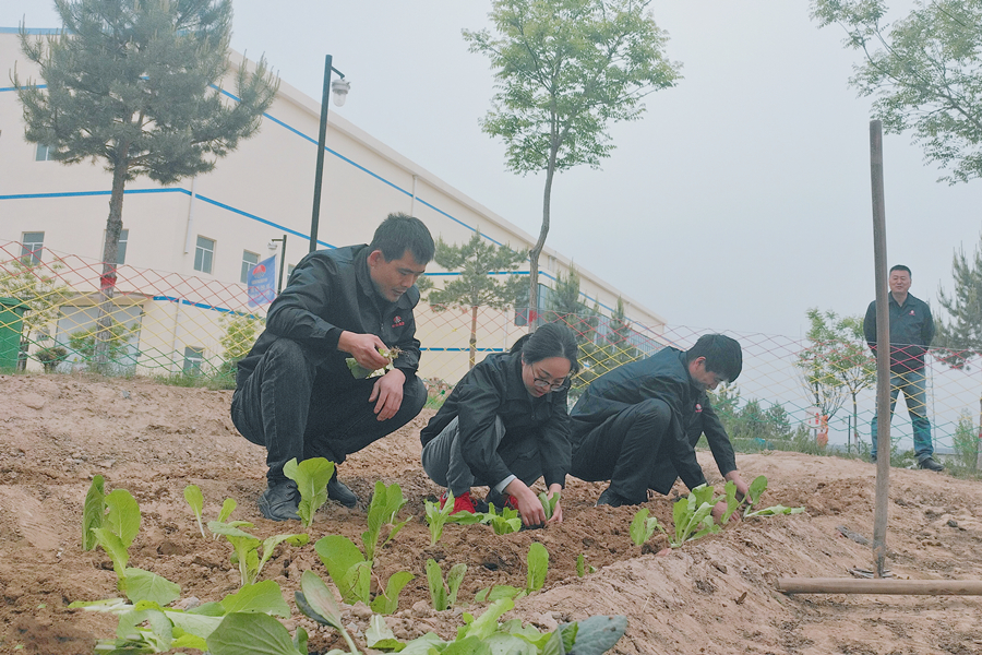 061664997688138666.jpeg 241650811074741069.jpeg