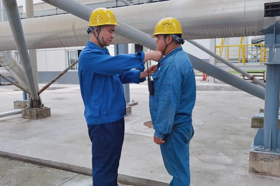 101665366668595535.jpeg 5.jpg