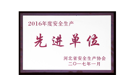 集團(tuán)公司榮獲河北省2016年度安全生產(chǎn)先進(jìn)單位稱號