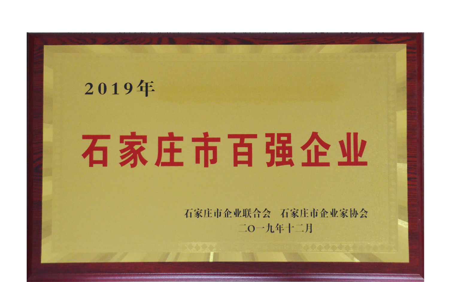 集團(tuán)公司榮獲石家莊市百強企業(yè)